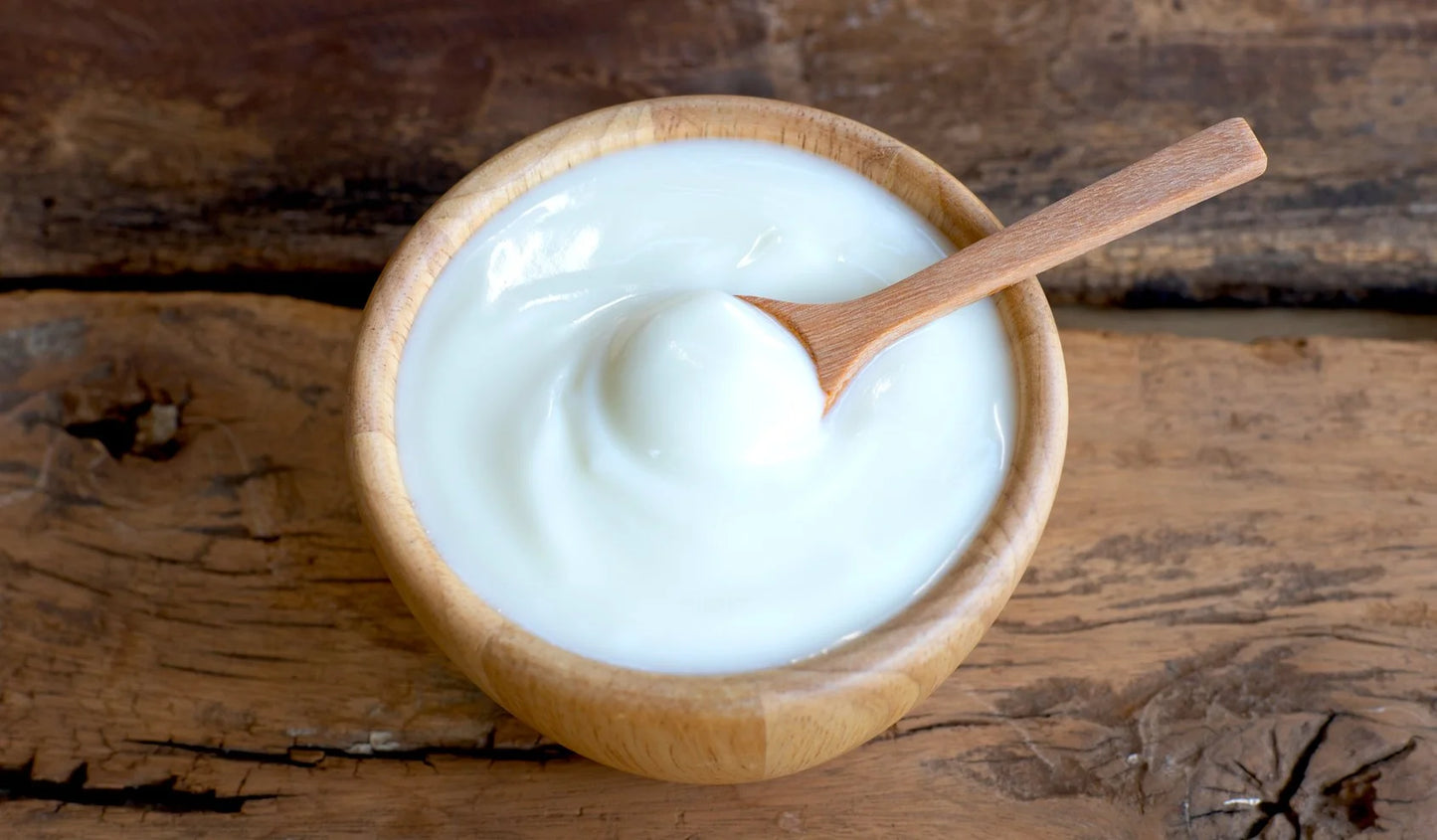Homemade Yogurt & Dairy Online Course