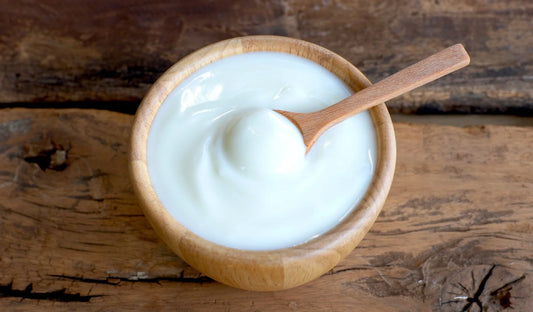 Homemade Yogurt & Dairy Online Course